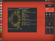 Unity Ubuntu Saucy Numix